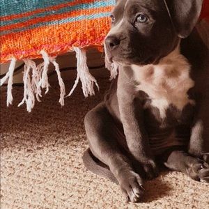 Meet your Posher, Bei